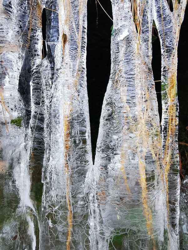 Quelles sont les astuces pour un barbecue réussi en hiver ?